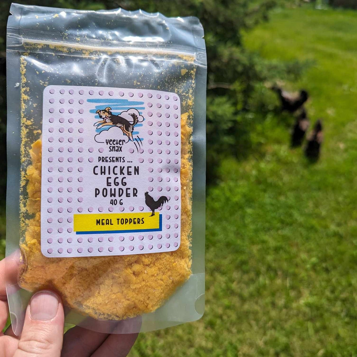 Chicken Egg Powder